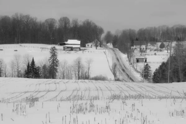 Soğuk Quebec Kışında Tipik Kanadalı Evleriyle Manzaralı Kış Manzarası — Stok fotoğraf