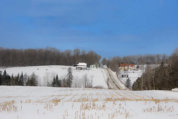 Soğuk Quebec Kışında Tipik Kanadalı Evleriyle Manzaralı Kış Manzarası — Stok fotoğraf