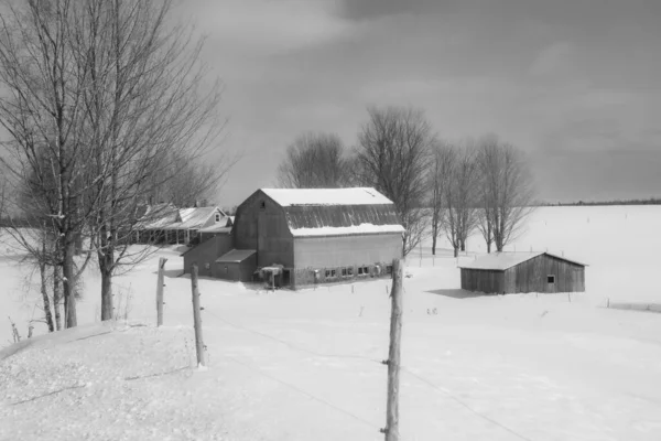Szcenírozott Téli Táj Tipikus Kanadai Házak Hideg Quebec Tél — Stock Fotó