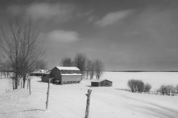 Szcenírozott Téli Táj Tipikus Kanadai Házak Hideg Quebec Tél — Stock Fotó