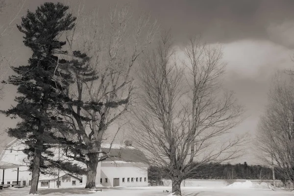 Soğuk Quebec Kışında Tipik Kanada Evi — Stok fotoğraf