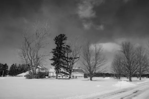 Soğuk Quebec Kışında Tipik Kanadalı Evleriyle Manzaralı Kış Manzarası — Stok fotoğraf