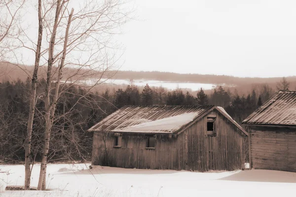 Старі Клуні Зимовій Сільській Місцевості Квебеку Канада — стокове фото