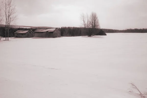 Old Barns Winter Countryside Landscape Quebec Canada — Stock Photo, Image