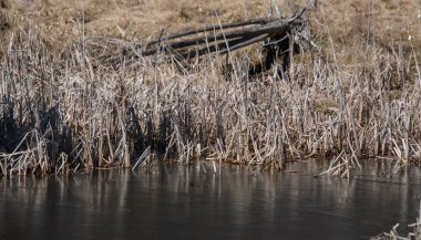 açık hava manzarasının resimsel görüntüsü