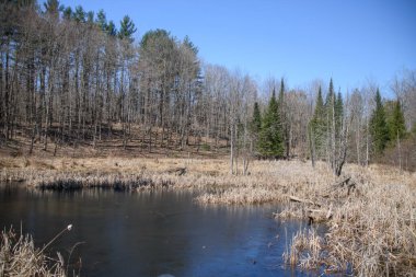 açık hava manzarasının resimsel görüntüsü