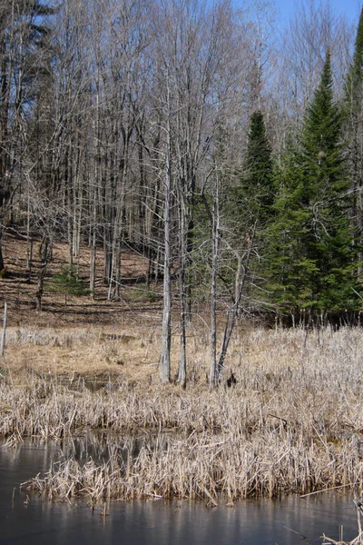 açık hava manzarasının resimsel görüntüsü