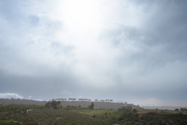 Endülüs, İspanya 'nın Ronda şehrinin efsanevi vadileri