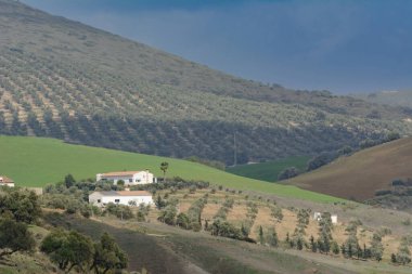 Endülüs, İspanya 'nın Ronda şehrinin efsanevi vadileri