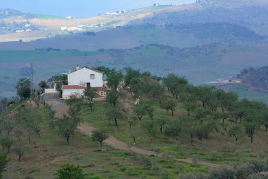 açık hava manzarasının resimsel görüntüsü
