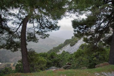 açık hava manzarasının resimsel görüntüsü