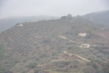 Sayalonga, Endülüs, İspanya, Sierra de Tejeda kasabasından dağa bakın.