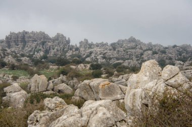 Ulusal parkta bir yürüyüş. Torcal de Antequera, Endülüs, İspanya