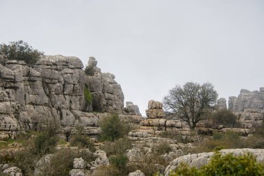 Ulusal parkta bir yürüyüş. Torcal de Antequera, Endülüs, İspanya