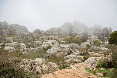 Ulusal parkta bir yürüyüş. Torcal de Antequera, Endülüs, İspanya