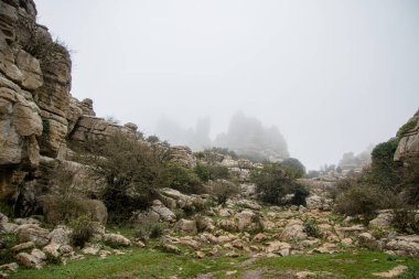 Ulusal parkta bir yürüyüş. Torcal de Antequera, Endülüs, İspanya
