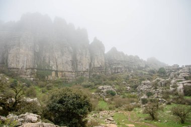 Ulusal parkta bir yürüyüş. Torcal de Antequera, Endülüs, İspanya