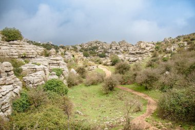 Ulusal parkta bir yürüyüş. Torcal de Antequera, Endülüs, İspanya