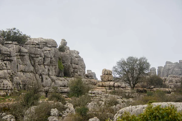 Ulusal parkta bir yürüyüş. Torcal de Antequera, Endülüs, İspanya