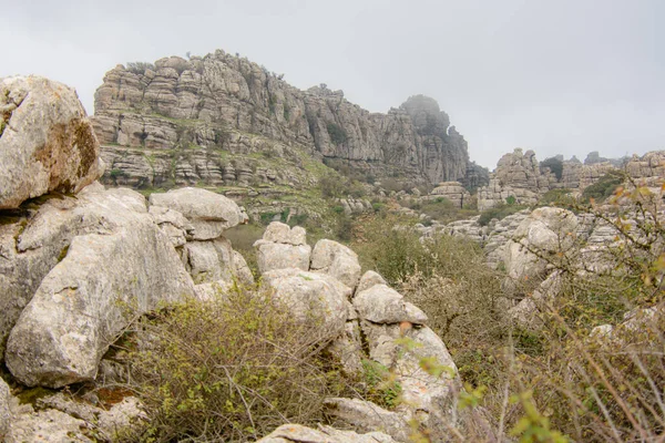 Een Wandeling Het Nationaal Park Torcal Antequera Andalusië Spanje — Stockfoto