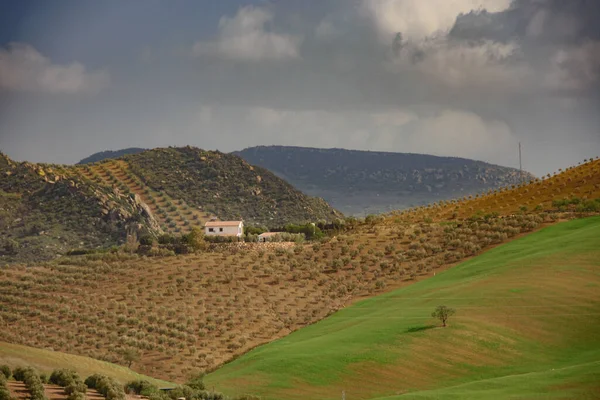 Vista Hermoso Valle Abdalajis Andalucía España — Foto de Stock