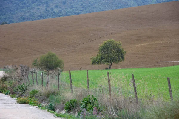 Vista Hermoso Valle Abdalajis Andalucía España — Foto de Stock