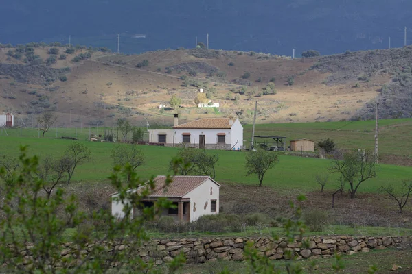 Υπέροχες Κοιλάδες Της Παλιάς Πόλης Της Ρόντα Στην Ανδαλουσία Ισπανία — Φωτογραφία Αρχείου