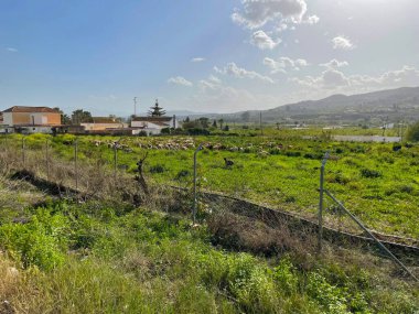 Kırsal kesimdeki olay yeri.