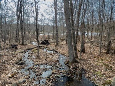 Doğanın güzel manzarası