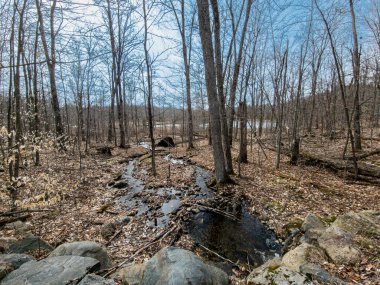 Doğanın güzel manzarası