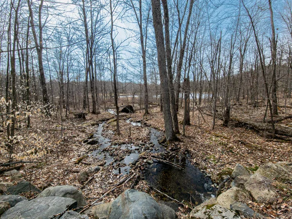 Doğanın güzel manzarası