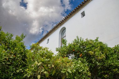 Alcazar de los Reyes Cristianos, Cordoba, Endülüs, İspanya 'nın güzel bahçeleri