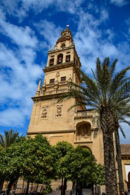 Muhteşem Cordoba Katedrali Camii, Endülüs, İspanya