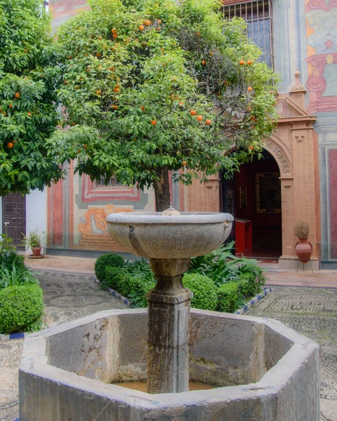 アルカサル レイエスの美しい庭園の眺めクリスティアーノ コルドバ アンダルシア スペイン — ストック写真