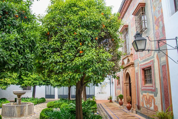 Alcazar de los Reyes Cristianos, Cordoba, Endülüs, İspanya 'nın güzel bahçeleri