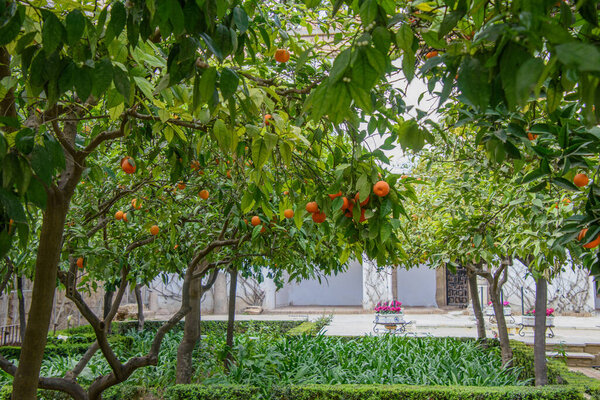 View of the beautiful gardens of the Alcazar de los Reyes Cristianos, Cordoba, Andalusia, Spain