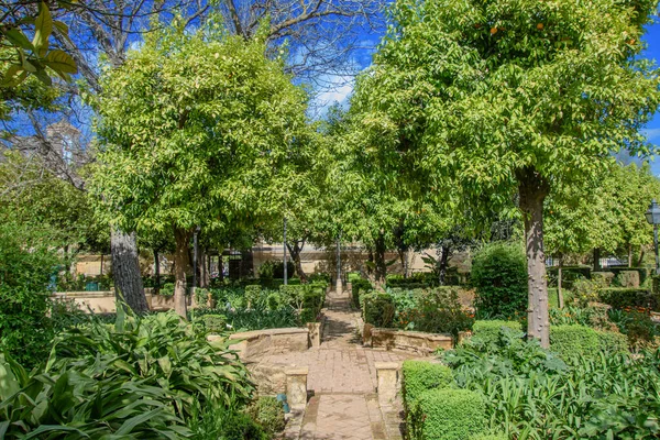 Alcazar de los Reyes Cristianos, Cordoba, Endülüs, İspanya 'nın güzel bahçeleri