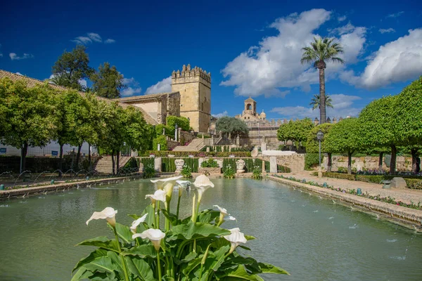 Vista Los Hermosos Jardines Del Alcázar Los Reyes Cristianos Córdoba —  Fotos de Stock