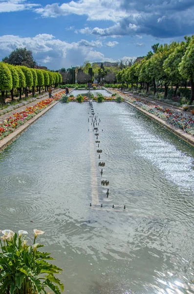 스페인 루시아 코르도바 카사르 레예스 크리스티아 노스의 아름다운 정원들 — 스톡 사진
