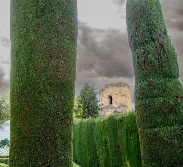 Alcazar de los Reyes Cristianos, Cordoba, Endülüs, İspanya 'nın güzel bahçeleri