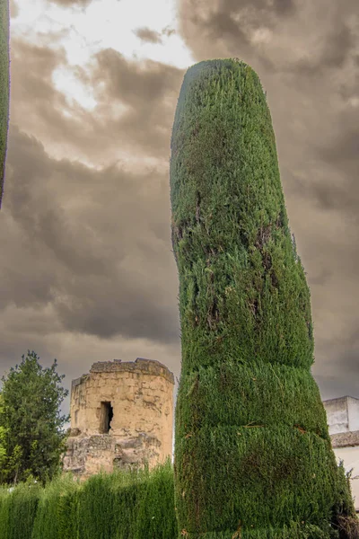 Alcazar de los Reyes Cristianos, Cordoba, Endülüs, İspanya 'nın güzel bahçeleri