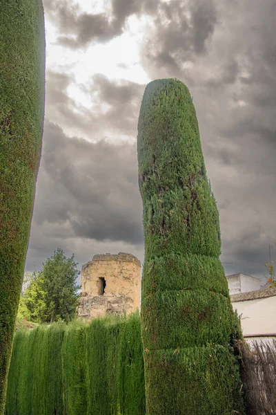 Alcazar de los Reyes Cristianos, Cordoba, Endülüs, İspanya 'nın güzel bahçeleri