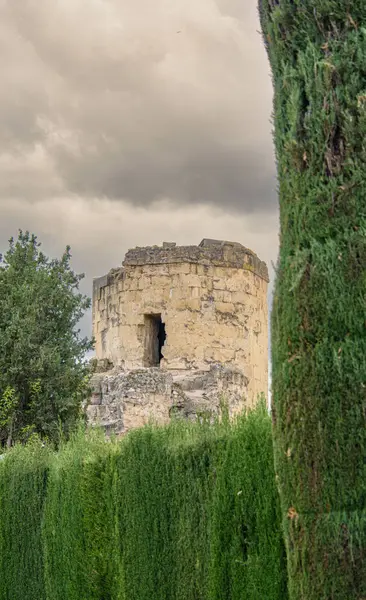 Alcazar de los Reyes Cristianos, Cordoba, Endülüs, İspanya 'nın güzel bahçeleri