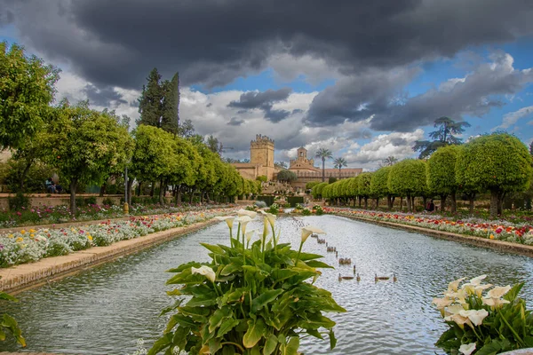 Alcazar de los Reyes Cristianos, Cordoba, Endülüs, İspanya 'nın güzel bahçeleri