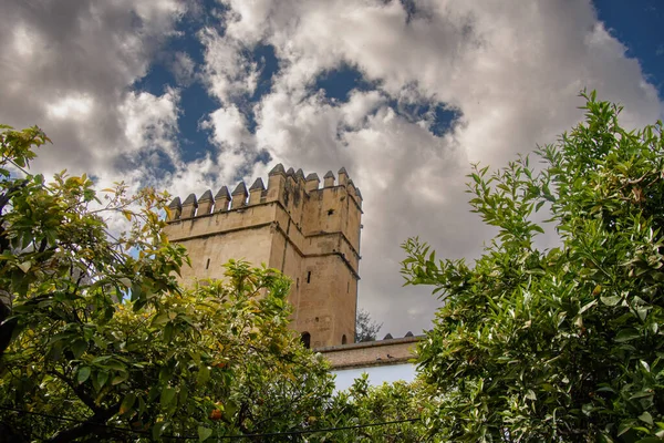 Vista Los Hermosos Jardines Del Alcázar Los Reyes Cristianos Córdoba —  Fotos de Stock