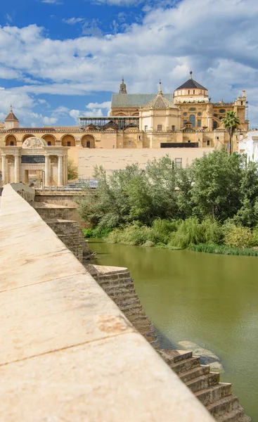 Uitzicht Prachtige Kathedraal Van Cordoba Andalusië Spanje — Stockfoto