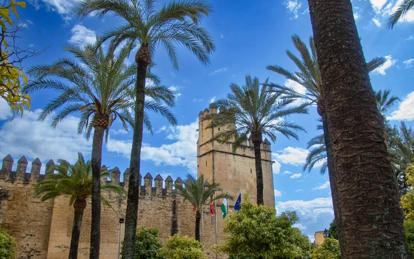 Muhteşem Cordoba Katedrali Camii, Endülüs, İspanya