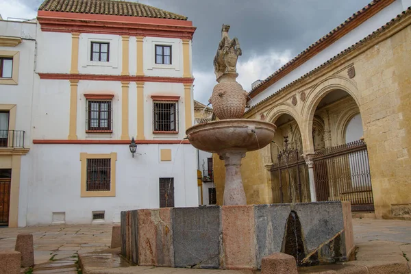 Plaza Del Potro Cordoba Andalusia Spain Square Mentioned Cervantes Novel — Fotografia de Stock