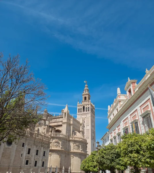 Архитектура Великолепного Собора Севилье Андалусия Испания — стоковое фото