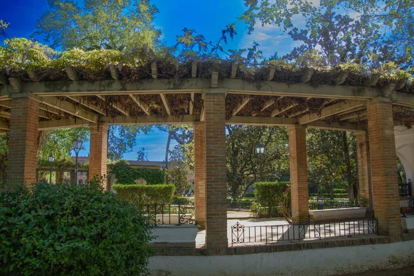 Sevilla, Endülüs ve İspanya 'nın güzel bahçelerinin manzarası.